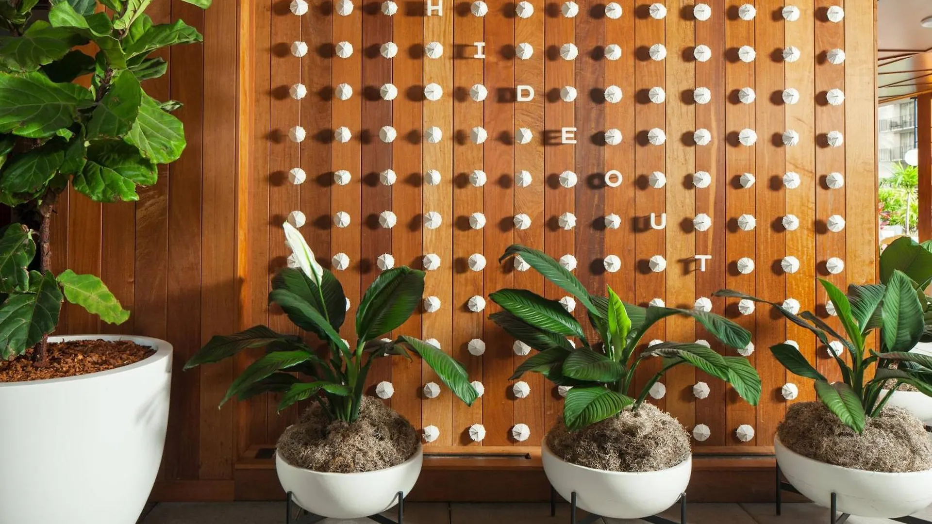 The Laylow Waikiki, Autograph Collection Honolulu USA